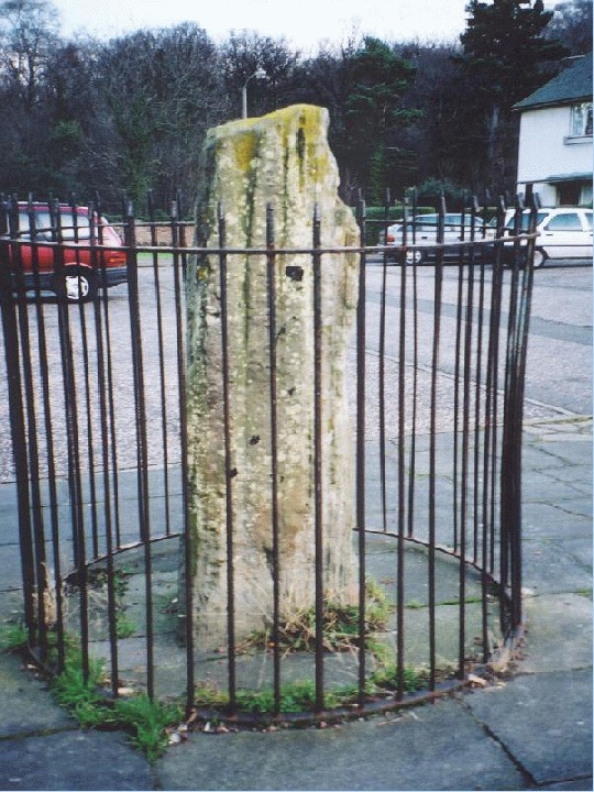 Ravenswood Avenue Standing Stone (Standing Stone / Menhir) by Martin