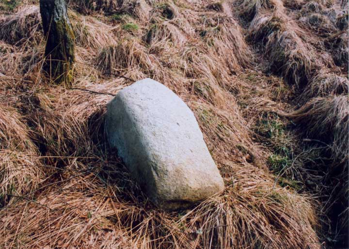 Craigiedun (Stone Circle) by BigSweetie