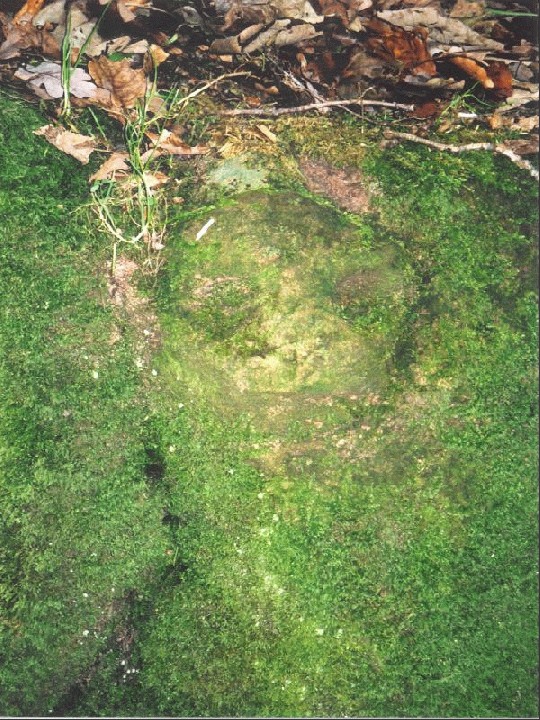 Roslin Glen (Cup and Ring Marks / Rock Art) by Martin