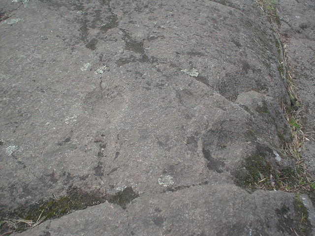 Corstorphine Hill (Cup Marked Stone) by DizzyDalek