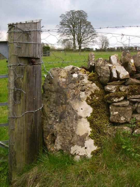 Lidstone Standing Stones (Standing Stones) by Jane
