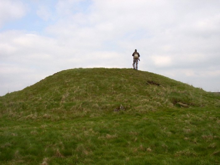 Gib Hill (Long Barrow) by Jane