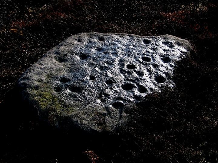 Lanshaw E (Cup and Ring Marks / Rock Art) by greywether