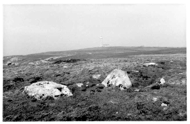 South West Field Stone & Cairn (Standing Stone / Menhir) by pure joy