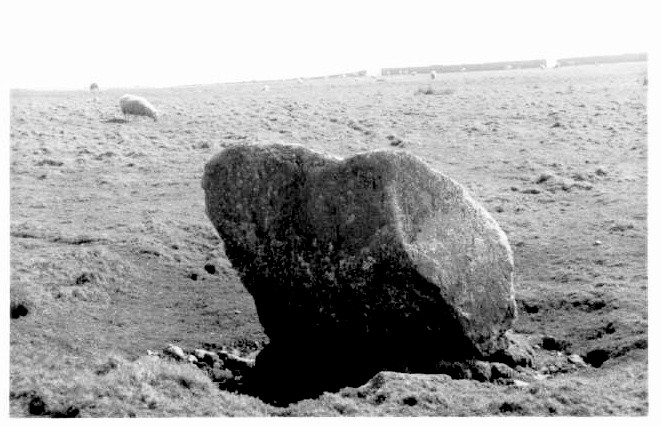 Ackland's Moor Standing Stone (North) (Standing Stone / Menhir) by pure joy