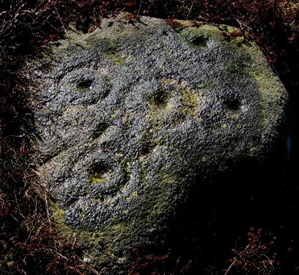 Graining's Head (Cup and Ring Marks / Rock Art) by greywether