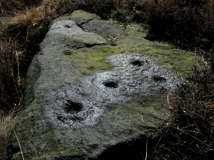 Weary Hill Stone (Cup and Ring Marks / Rock Art) by greywether