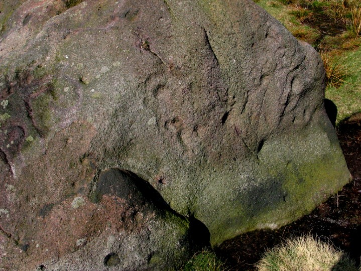The Badger Stone (Cup and Ring Marks / Rock Art) by greywether