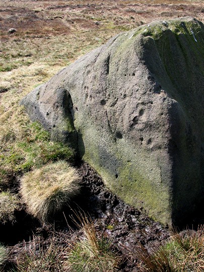 The Badger Stone (Cup and Ring Marks / Rock Art) by greywether