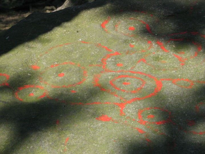 Willy Hall's Wood Stone (Cup and Ring Marks / Rock Art) by greywether