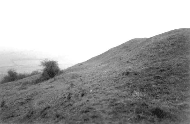 Little Solsbury Hill (Hillfort) by pure joy