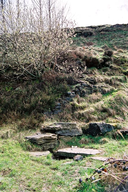 Crosland Moor Holy Well (Sacred Well) by Kozmik_Ken