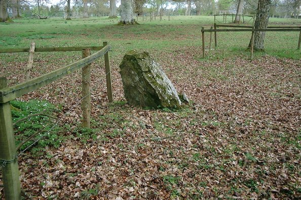 Seward's Stone, Belmont (Standing Stone / Menhir) by nickbrand