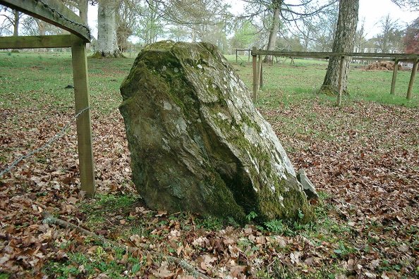 Seward's Stone, Belmont (Standing Stone / Menhir) by nickbrand