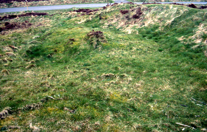 Plumcake Mound (Round Barrow(s)) by wideford
