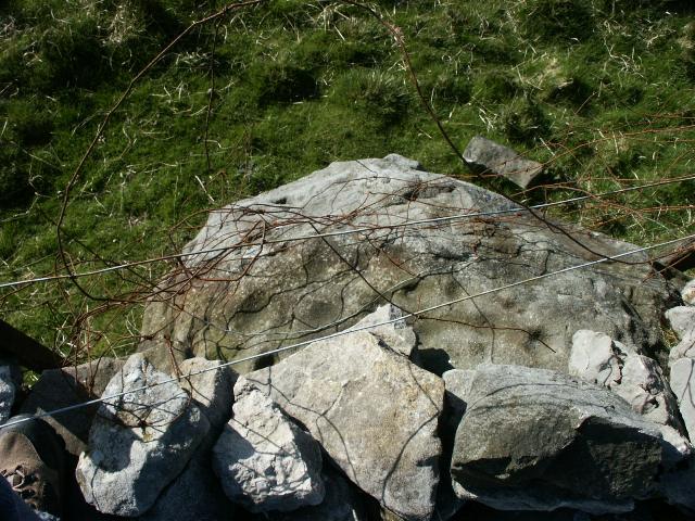 Skyreholme Walled Boulder (Cup Marked Stone) by BrigantesNation