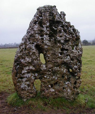 The Longstone of Minchinhampton (Standing Stone / Menhir) by Alchemilla