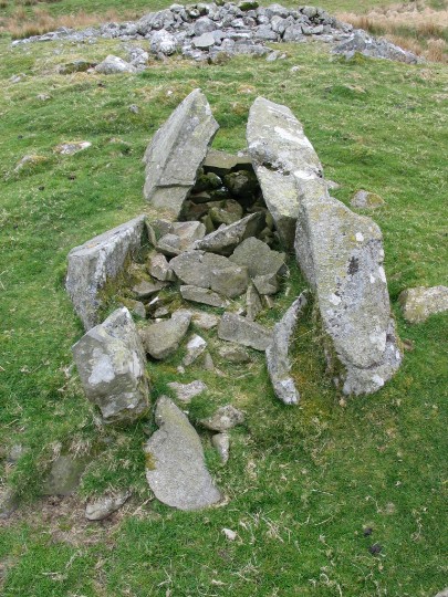 Drannandow (Chambered Tomb) by greywether