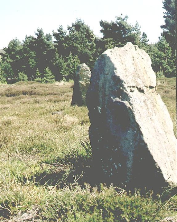 Thimbleby Moor Nine Stones (Stone Circle) by fitzcoraldo