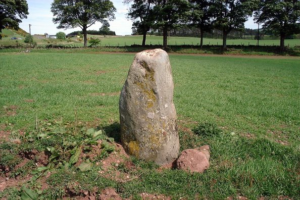 Gleneagles A (Standing Stone / Menhir) by nickbrand
