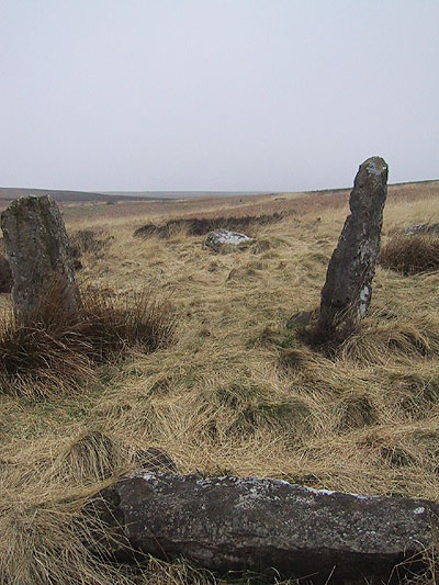 Doddington Stone Circle (Stone Circle) by awrc