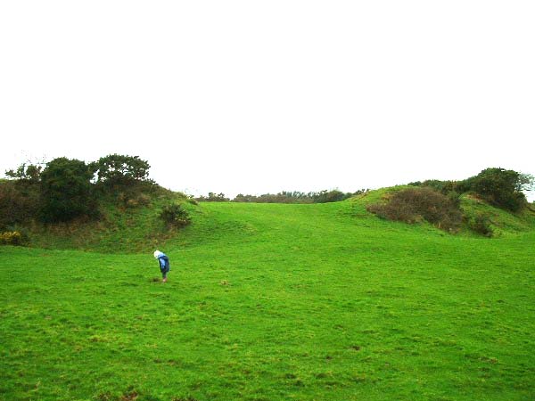 Castle Dore (Hillfort) by phil