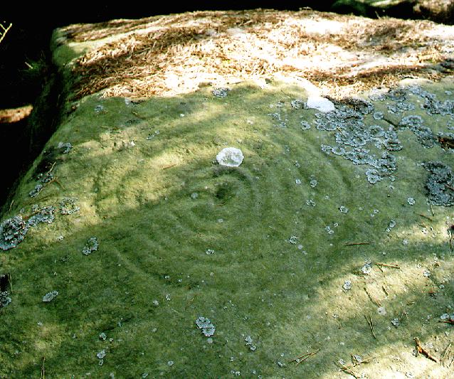 Weetwood Moor (Cup and Ring Marks / Rock Art) by fitzcoraldo
