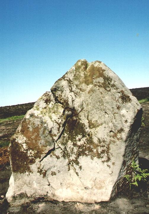 Grey Horse Stone (Standing Stone / Menhir) by fitzcoraldo