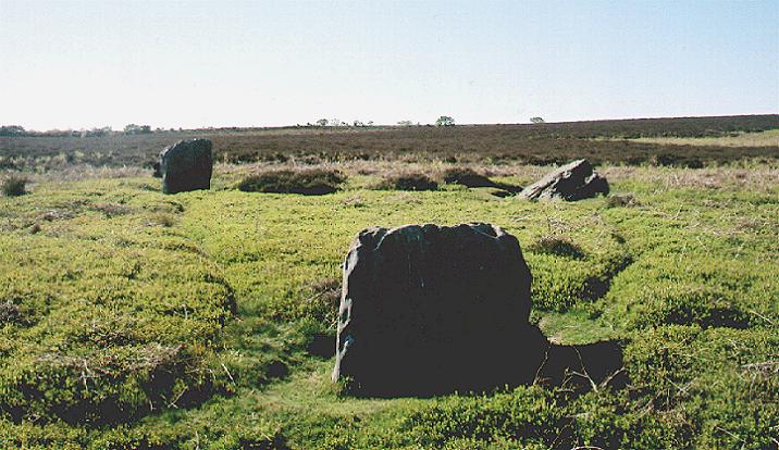 Ramsdale Standing Stones (Standing Stones) by fitzcoraldo