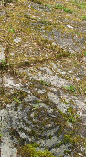 Poltalloch (Cup and Ring Marks / Rock Art) by greywether