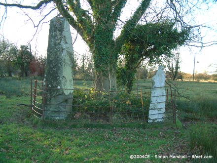 Llanbedr Stones (Standing Stones) by Kammer