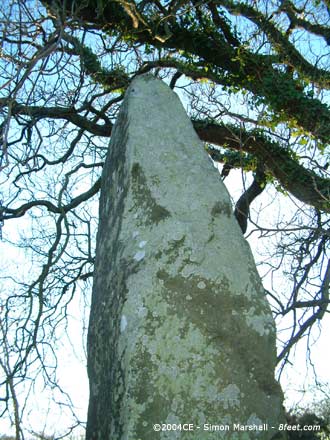 Llanbedr Stones (Standing Stones) by Kammer