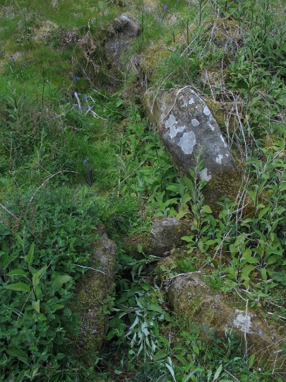 Dunan Beag (Chambered Cairn) by greywether