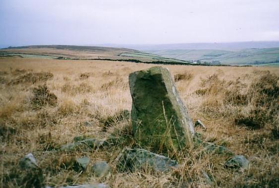 Standing Stone Hill (Standing Stone / Menhir) by David Raven
