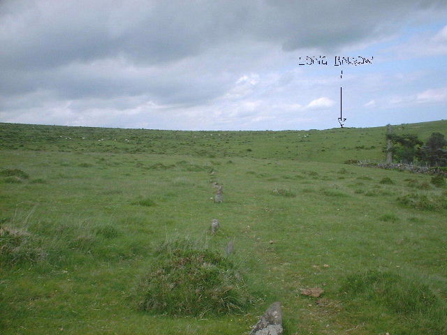 Corringdon Ball Stone Row (Multiple Stone Rows / Avenue) by dude from bude