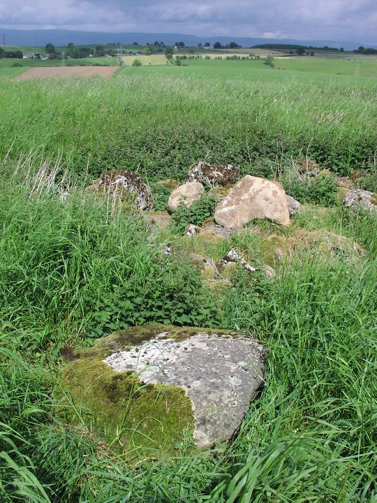 Shapbeck Plantation (Stone Circle) by Moth