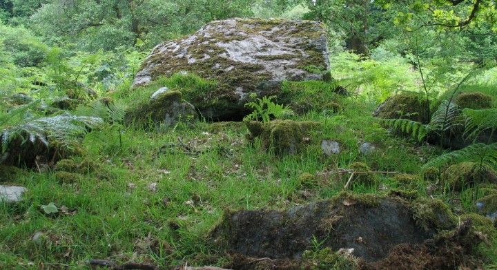 Edinchip Chambered Cairn (Chambered Cairn) by greywether