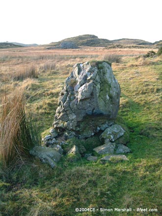Ffridd y Beudail (Standing Stone / Menhir) by Kammer