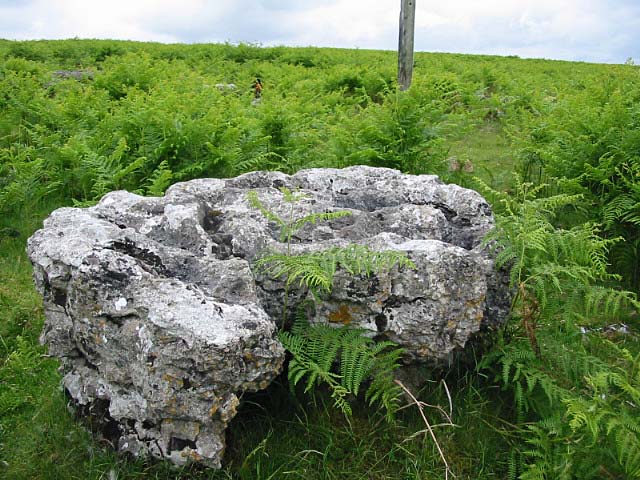 Knipe Moor (Stone Circle) by stubob