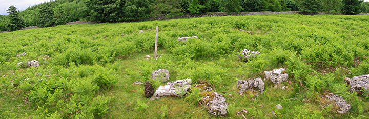 Knipe Moor (Stone Circle) by stubob