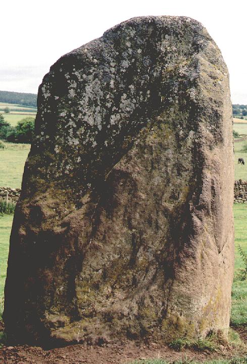 Holme Head (Standing Stone / Menhir) by fitzcoraldo