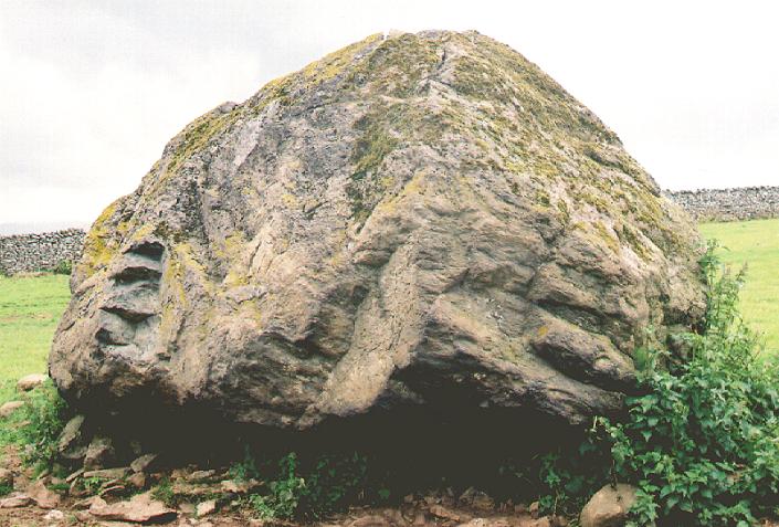 Thunder Stone (Standing Stone / Menhir) by fitzcoraldo