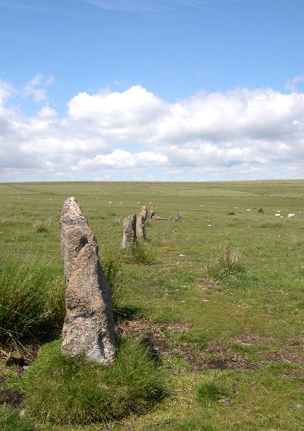 Ringmoor Cairn Circle and Stone Row (Stone Row / Alignment) by pure joy