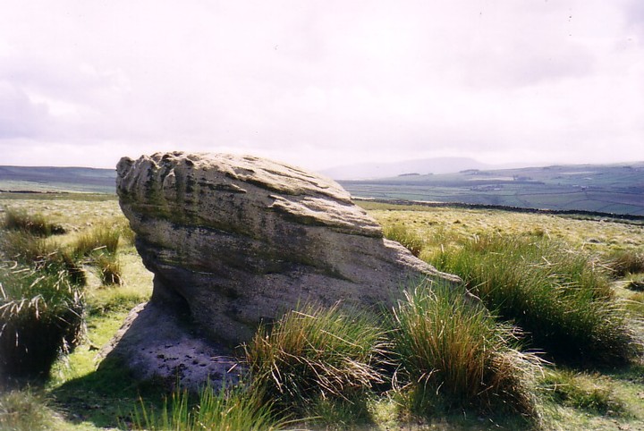 Winter Hill Stone (Cup Marked Stone) by David Raven
