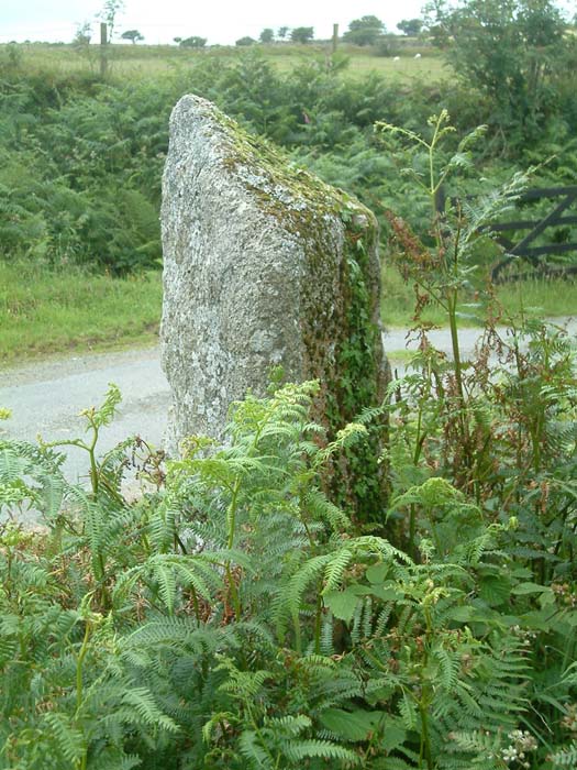 Tregune Menhir No2 (Standing Stone / Menhir) by Mr Hamhead