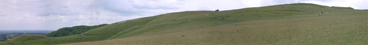 Uffington White Horse (Hill Figure) by seanj