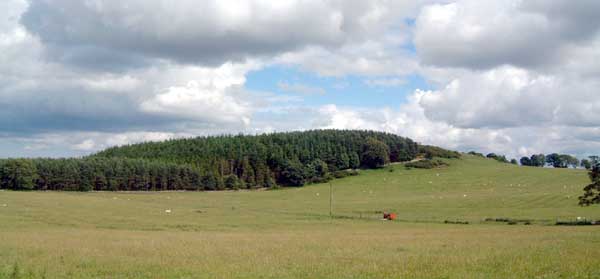 Shindon Hill (Hillfort) by Hob