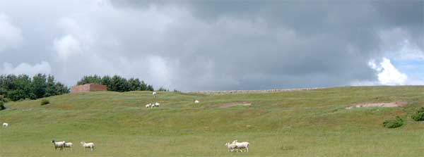 Shindon Hill (Hillfort) by Hob