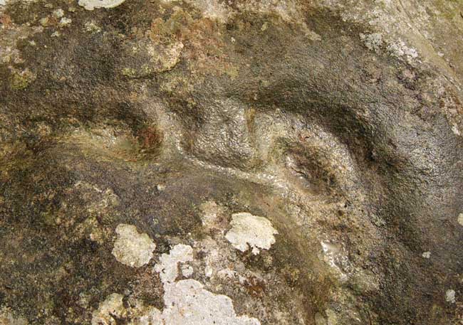 Hallion's Rock (Cup and Ring Marks / Rock Art) by Hob