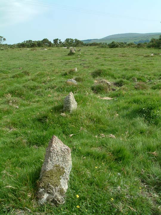 Carneglos Stone Row (Stone Row / Alignment) by Mr Hamhead